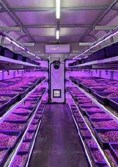 Indoor cultivation under controlled light